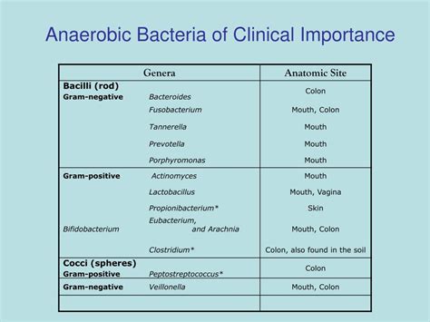 Ppt Anaerobes And Mycobacteria Powerpoint Presentation Free Download