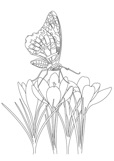 Butterfly Coloring Pages For Kids Butterflies Kids Coloring Pages
