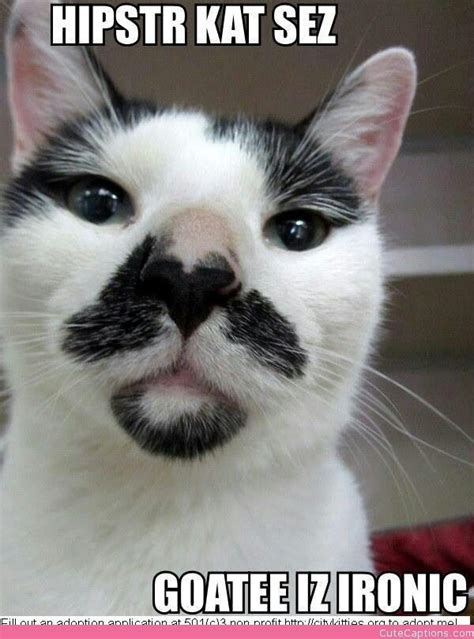 Goatee Cat Bad Cats Cats And Kittens Mustache Cat