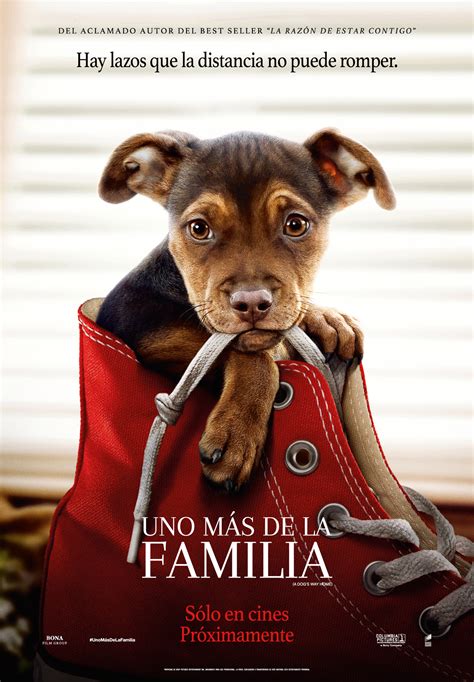 Uno Más De La Familia Película 2018