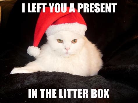 Ha Ha Ha Fancy Cats Animated Animals Christmas Cats