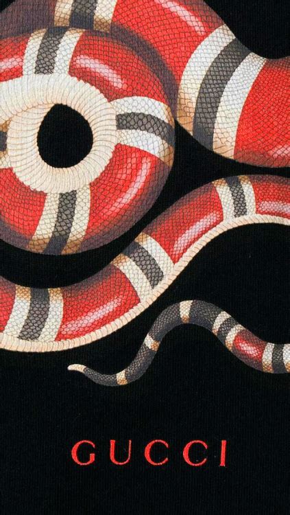 96 Gucci Snake Wallpaper On Wallpapersafari