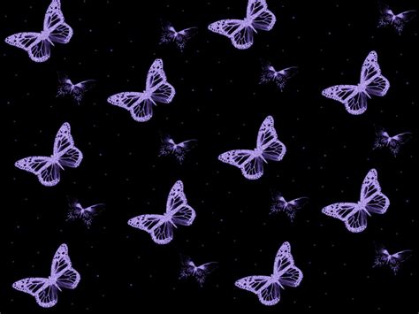 🔥 Free Download Purple Butterflies Wallpaper 1280x960 For Your