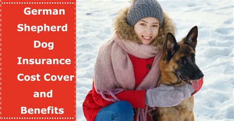 German Shepherd Dog Insurance: Cost Cover and Benefits - PetXU