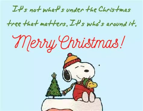 Charlie Brown Tree Quotes The Best A Charlie Brown Christmas Quotes
