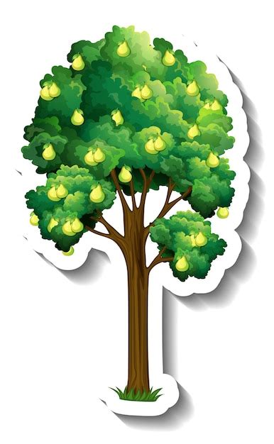 Free Vector Pear Tree Sticker On White Background