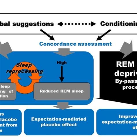 Model Of The Relationship Between Sleep And Pain And Respective