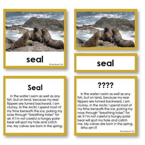 Zoology Who Am I 3 Part Cards Arctic Sea Life Montessori 123