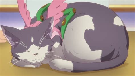 28 Best Anime Cats Felines Of All Time 14 Anime Mèo Đang Yêu