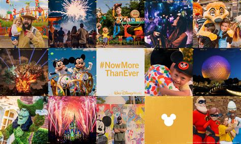 Now More Than Ever Is A Great Time To Visit Walt Disney World Resort