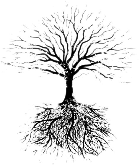 Silhouette Tree With Roots Png Free Logo Image