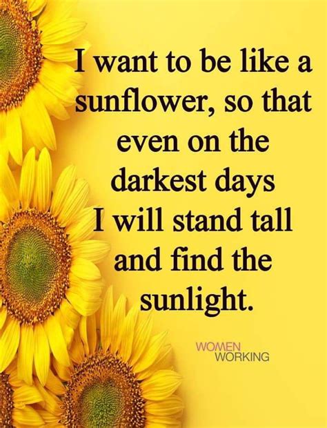 #7940 $24.25 24 inch round x 42 inch tall brushed. Pin by Valerie Carstens on quotes | Stand tall quotes, Life, Stand tall