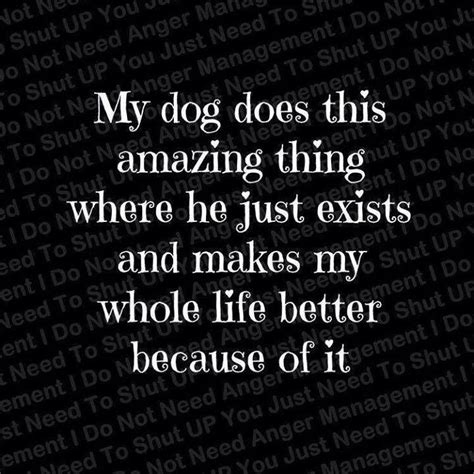 Rescuedog Dog Itsarescuedoglife Dog Quotes I Love Dogs Best Dog