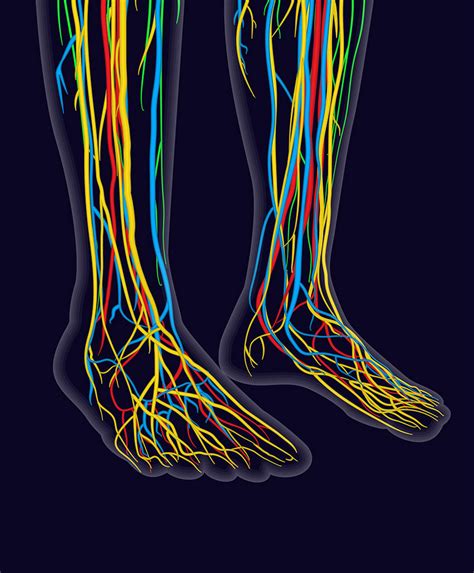 Doctors are now learning that neuropathy can cause many more problems. Ask the Yoga Therapist: Peripheral Neuropathy - Soul of Yoga