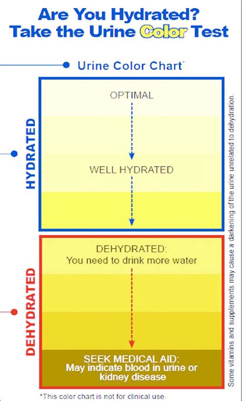 Am I Hydrated Urine Color Chart