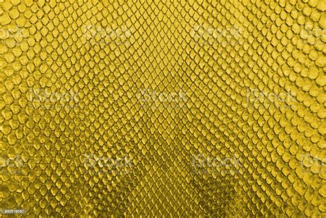 Gold Crocodile Skin Texture Background Stock Photo Download Image Now