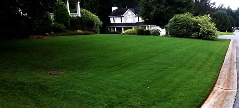 Aeration involves punching small holes into the lawn and removing plugs or cores of dirt and thatch. DIY Lawn Care - Is it really better to do it yourself ...