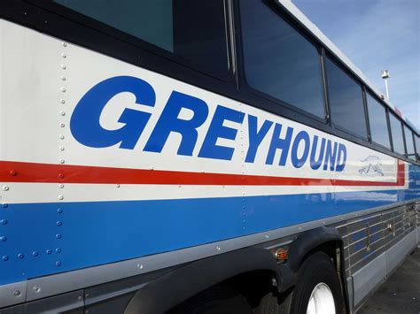 Avoiding Regret Photo Essay Greyhounds Vintage Bus Fleet Upon Its