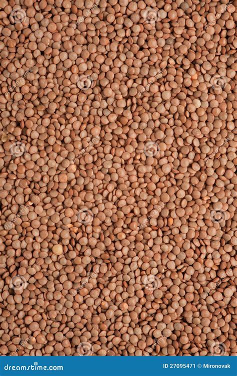 Lentil Seed Texture Background Stock Image Image Of Cuisine Vegan