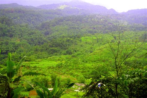 Check spelling or type a new query. Wisata Alam Bogor Barat : Air Panas Ciparay Dan Curug ...