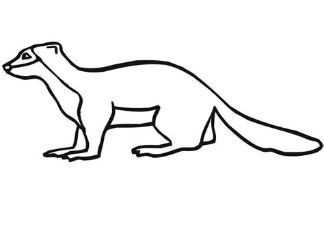 A Simple Weasel Coloring Page Free Printable Coloring Pages For Kids