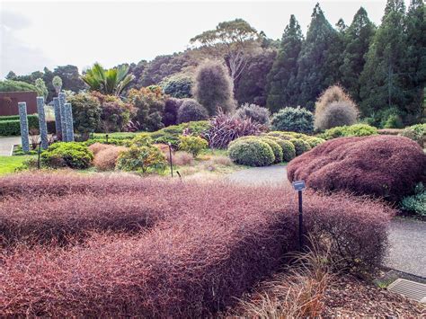 Auckland Botanical Gardens Plants Aucklife