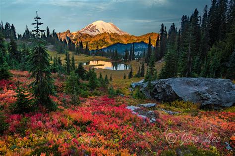 Autumn Rainbow Colors On Rainier Mount Rainier National Park Washington State Photos By