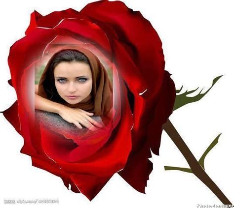 Crear Fotomontajes Gratis En Rosas Fotomontajes Gratis Fotos De