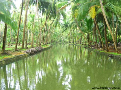 50 Stunning Photos Of Kerala That Will Mesmerise You Kerala In Photos