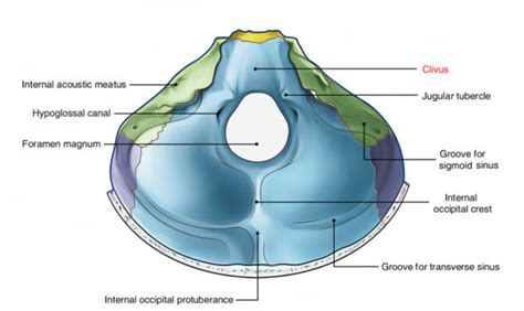 Clivus Earths Lab