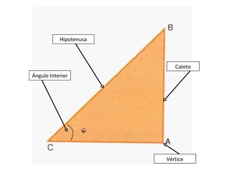 Partes Del Triángulo