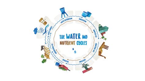 Water And Nutrient Cycle Perspective Sswm