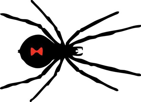 Free Scary Spider Cliparts Download Free Scary Spider Cliparts Png