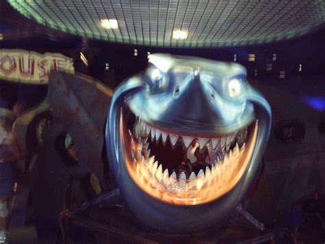 Disney 108 Bruce From Finding Nemo Epcot Kristy Hess Flickr