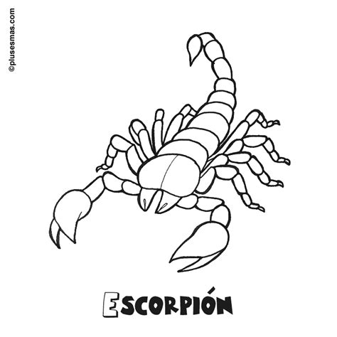 Imagen 66 Imagen Dibujos De Escorpiones Para Colorear E Imprimir