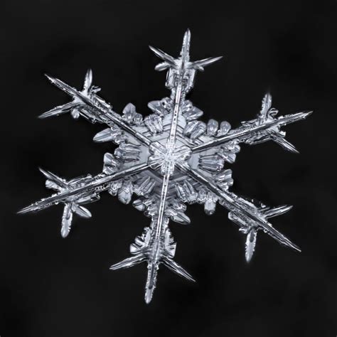 Photos Incredible Snowflake Close Ups