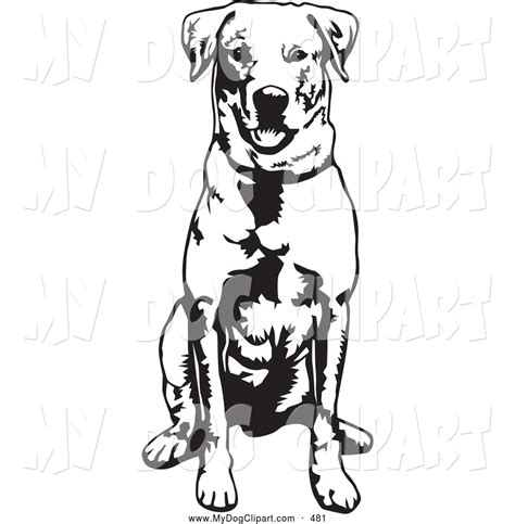 Royalty Free Stock Dog Designs Of Labrador Retrievers