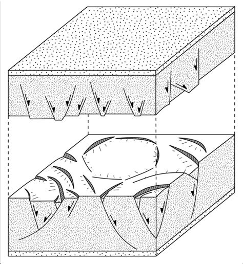 Schematic Diagram Of A Polygonal Fault System Comprised Of A Large
