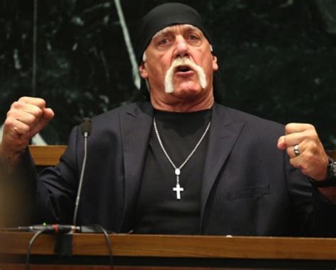Sex Tape Hulk Hogan Awarded 115m P M News
