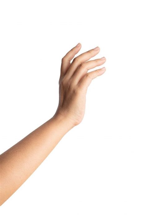 A Persons Hand Reaching Up Into The Air