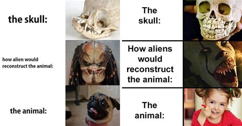 Aliens invade universe meme template. The Alien Skull Meme Is Part Creepy And Part Wholesome (30 ...