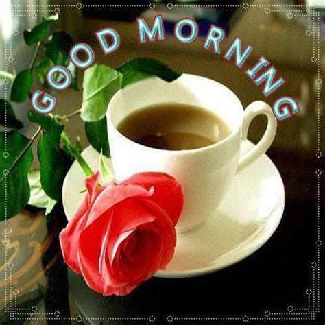 Good Morning Coffee And Rose Pictures Photos And Images For Facebook