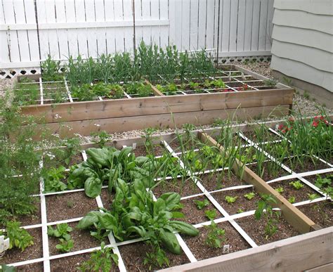 Small Garden Ideas Square Foot Veggie Gardening — Eco Balance