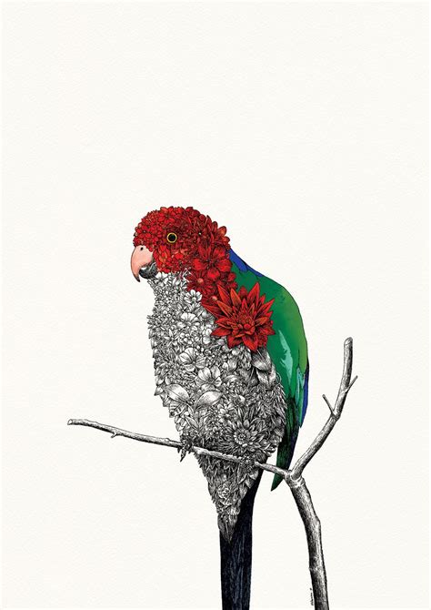 Artwork by australian artist nathan ferlazzo. Pin by Marini Ferlazzo on Artworks in 2019 | Bird artwork ...
