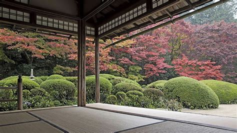Hd Wallpaper Japan Garden Trees Courtyard Zen Garden