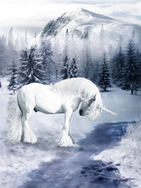 Fantasy Unicorn Unicorn And Fairies Fantasy Horses Unicorns And