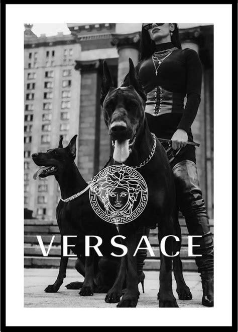 Versace Dogs Versace Fashion Versace Fashion Wall Art