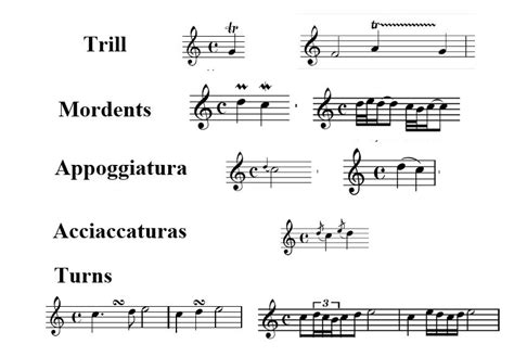 Most ornaments occur on the beat, and use diatonic intervals more exclusively than ornaments in later periods do. Music Theory: Ornaments and Embellishments : macProVideo.com