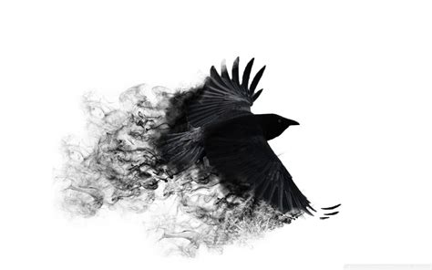 Black Smoked Raven Poster Hd Wallpaper Wallpaper Flare