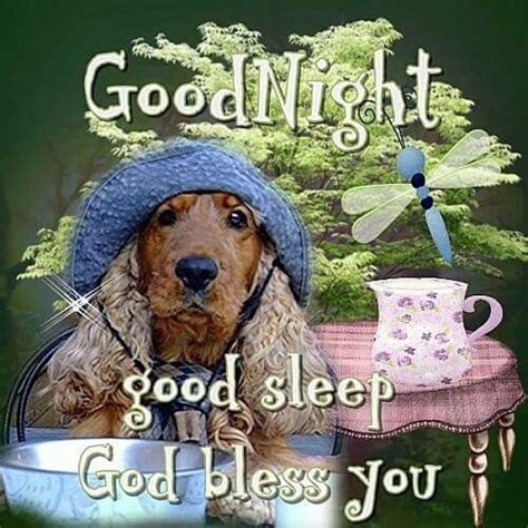 Goodnight Good Sleep God Bless You Pictures Photos And Images For